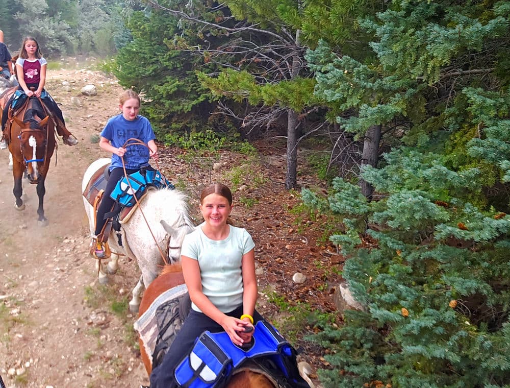 Riders on horseback following a dirt trail through pines.